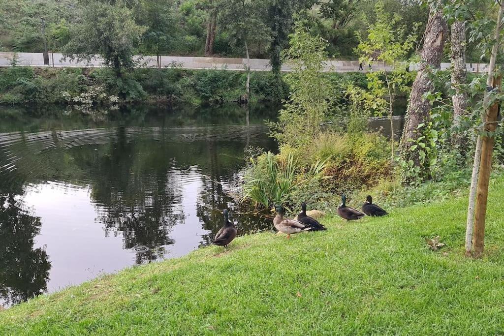 Nature E Spa Al - Termas Saude E Beleza, Totalmente Renovado - Piscinas Municipais Em Frente - Epoca Julho A Setembro São Pedro do Sul Zewnętrze zdjęcie