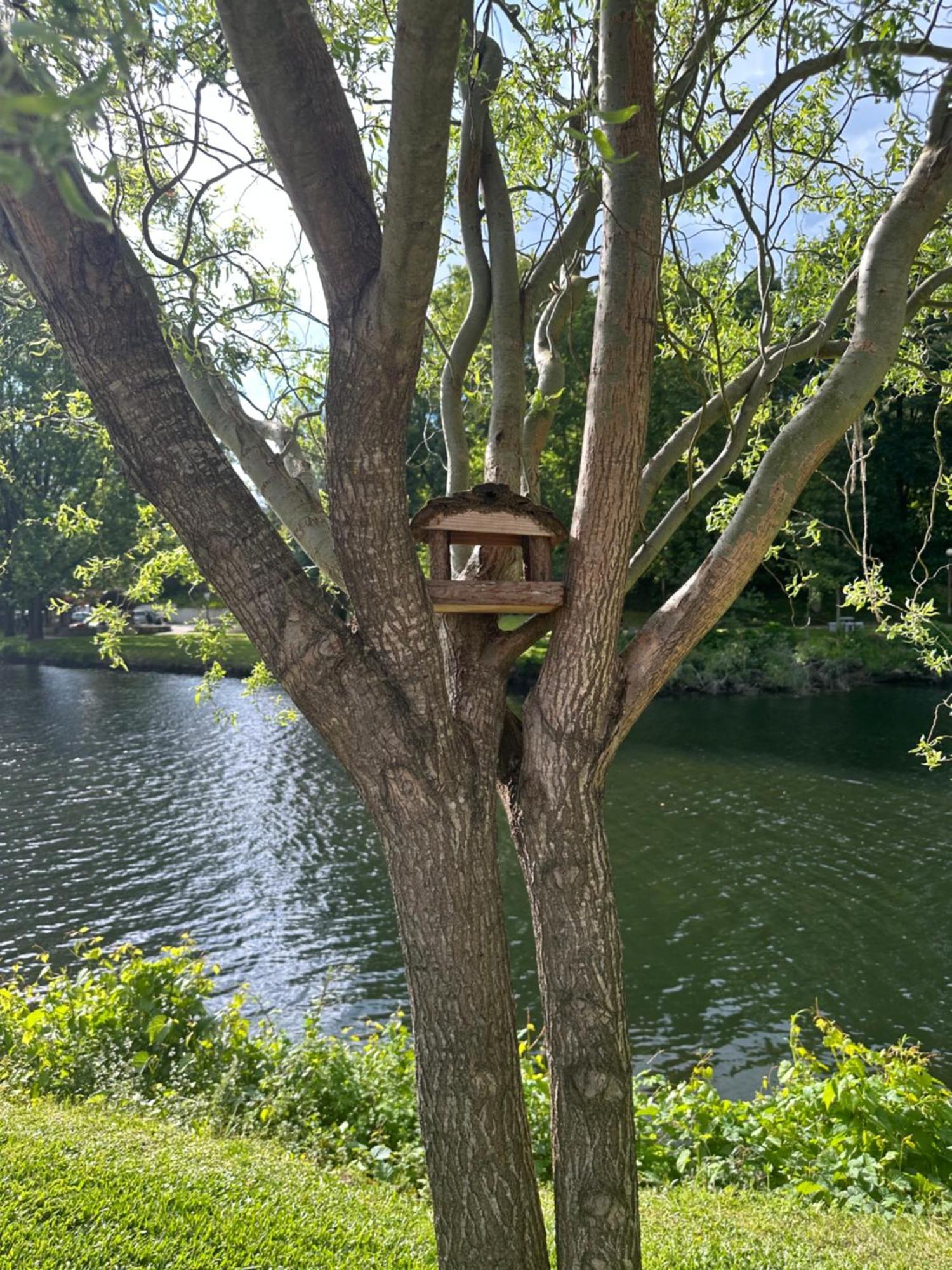 Nature E Spa Al - Termas Saude E Beleza, Totalmente Renovado - Piscinas Municipais Em Frente - Epoca Julho A Setembro São Pedro do Sul Zewnętrze zdjęcie